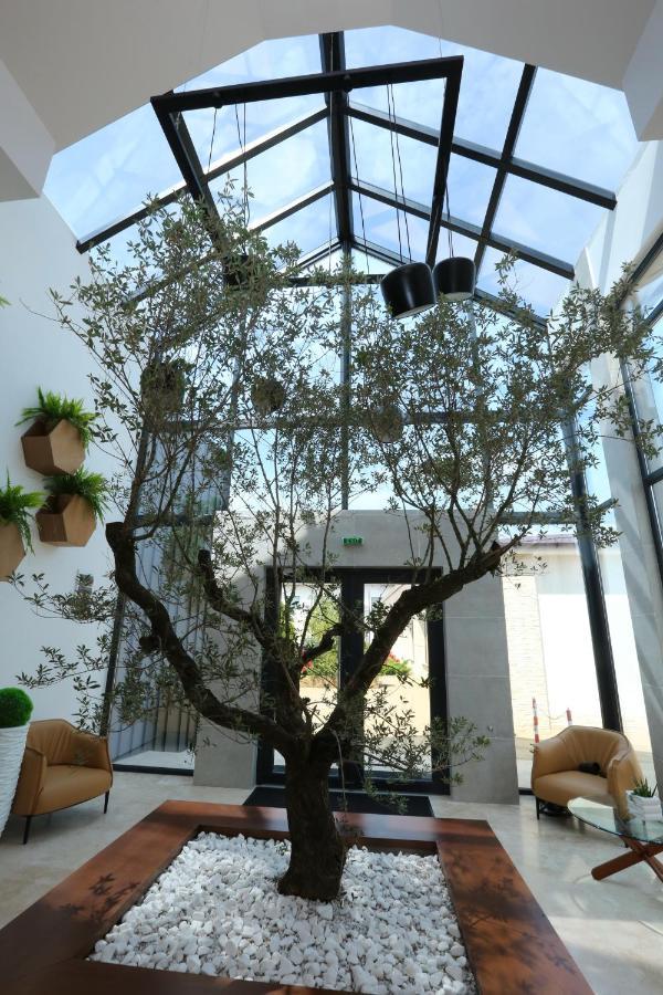 Valentino Rooms Focşani Buitenkant foto
